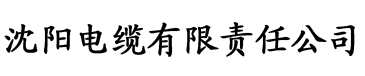 平凡职业造就世界最强樱花动漫电缆厂logo